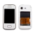 Pantalla Modulo Samsung S5301 Pocket con Marco + Flex Home + Boton - Original