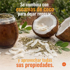 ¡LLEVÁ 4 Y PAGÁ 3! COCO YERBA 500g - godblessyou