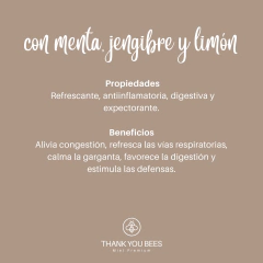 Miel premium con menta, jengibre y limón Thank You Bees X 500g en internet