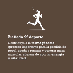 MCT Premium 125Ml en internet