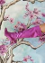 Angers - tienda online