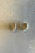 Aros Birdie Gold - tienda online