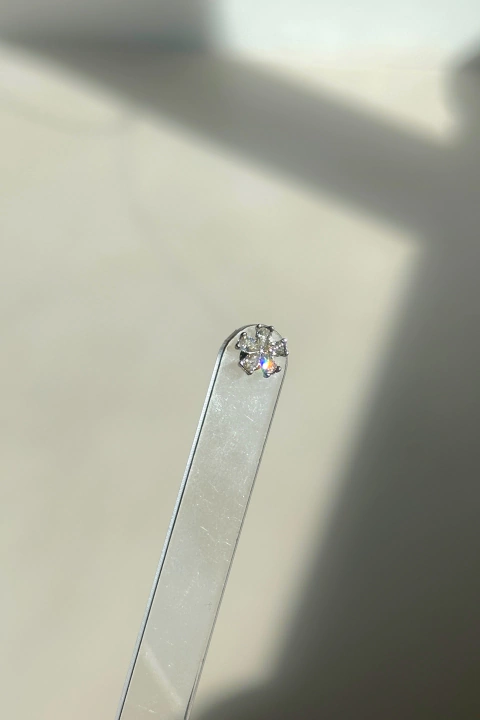Piercing Bloom Silver
