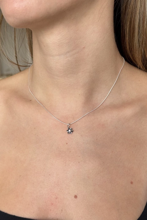 Collar David Silver