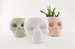 CALAVERA MACETA CHICA - comprar online