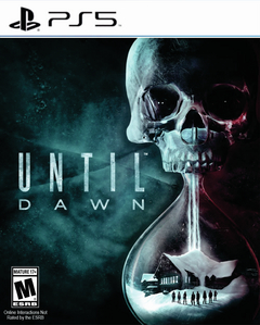 PS5 - UNTIL DAWN