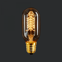 Lampara Antique Edison ALIC 24w. T45
