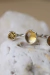 Anillo Ofrenda [V] en internet
