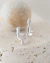 Origen ring - La Regueira