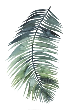 Untethered Palm VII II - Grace Popp