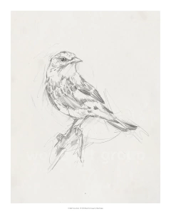 Avian Study I - Ethan Harper - comprar online