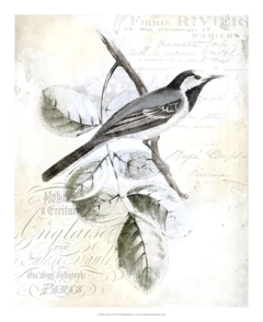 quadro de passarinhos antigo