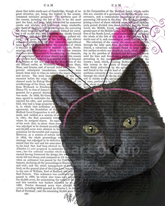 poster de gatinho