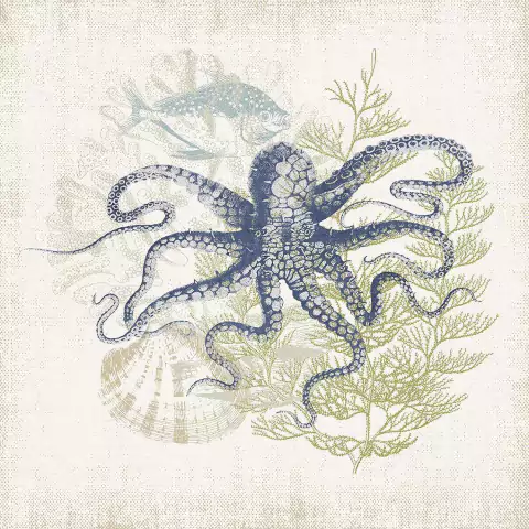 Antique Coastal Ephemera VIII - Victoria Barnes