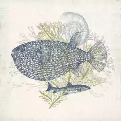 Antique Coastal Ephemera IX - Victoria Barnes
