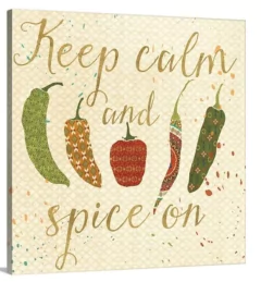 MEXICAN FIESTA VI - Veronique Charron na internet