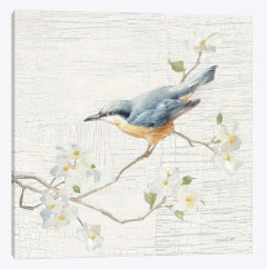 Nuthatch, Vintage - Danhui Nai - comprar online
