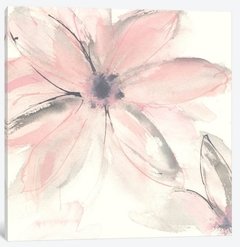 Blush Clematis II - Chris Paschke na internet