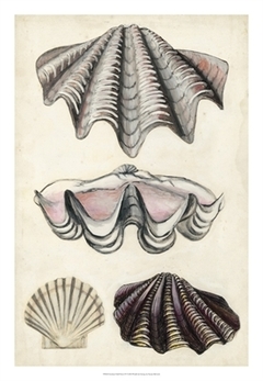 Seashore Field Notes IV - Naomi McCavitt - comprar online