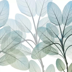 Resilient Growth II- Albert Koetsier