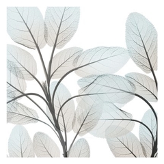 Sandy Blooms I - Albert Koetsier - comprar online