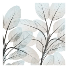 Sandy Blooms II - Albert Koetsier - comprar online