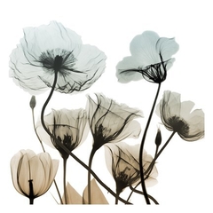 Sandy Floral Cluster II - Albert Koetsier