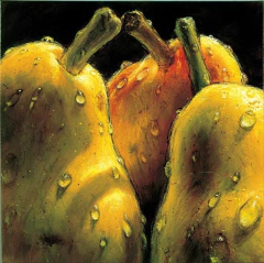 gravura pêras