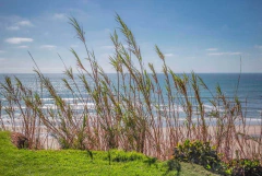 poster de praia