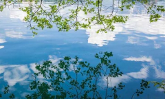 Gravura Reflexo na água
