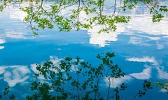 Quadro de paisagem