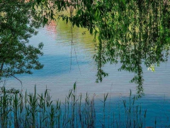 gravura de paisagem para Quadro