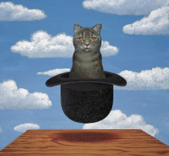 Gravura Animais humor