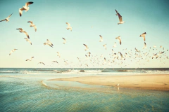 poster de mar para quadro