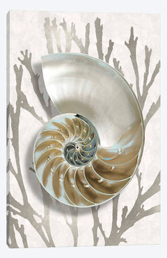 Gravuras Tema Mar - concha