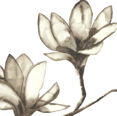 Composição - Flores Tons Pastel I - comprar online