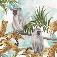 Gravura Animais Tropicais