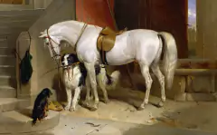 3 Gravuras Cavalos na internet