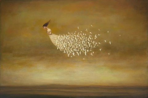 Freeform - Duy Huynh