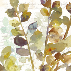 gravuras aquarela folhagens