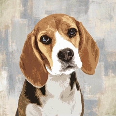 poster de cachorro