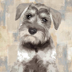 gravura Schnauser