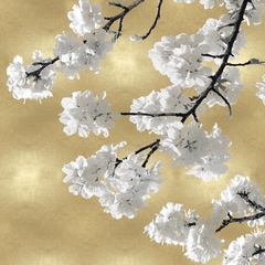 Gravura de Flores em tons Pastel