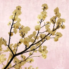 Gravura Florais em tons Pastel