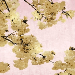Quadro de Flores em tons Rosa