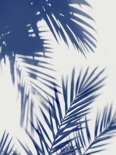 Palm Shadows Indigo II - Melonie Miller