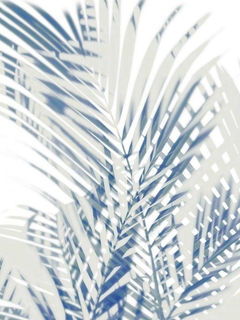 Palm Shadows I - Melonie Miller - comprar online
