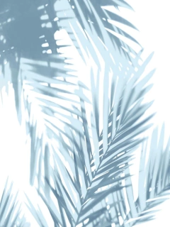 Palm Shadows Aqua II - Melonie Miller - comprar online