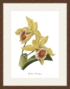 5 Molduras 40 x 52 cm - Pictus - Quadros, Gravuras e Posters -Entrega em Todo Brasil