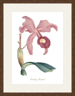 5 Molduras 40 x 52 cm - loja online